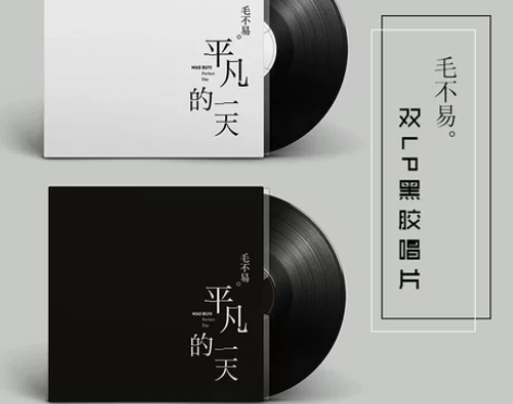 正版 毛不易专辑 平凡的一天 LP黑胶唱片...