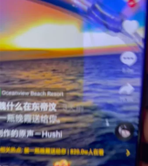 OPPO R11S狗年限定464g 后面小...