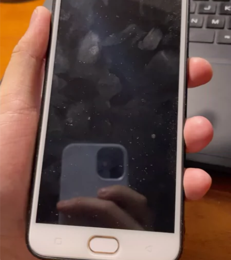 OPPO R9s 4+64 金色 收藏成色...