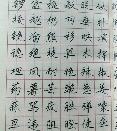 小学生硬笔楷书教程，女书法家吕兴华著。19...