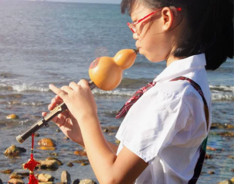 葫芦丝初学乐器降B调C调天然紫竹双音专业教...