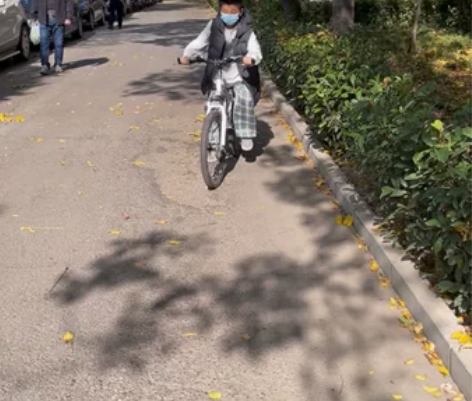 飞鸽儿童自行车8-10-12-15岁男孩小...