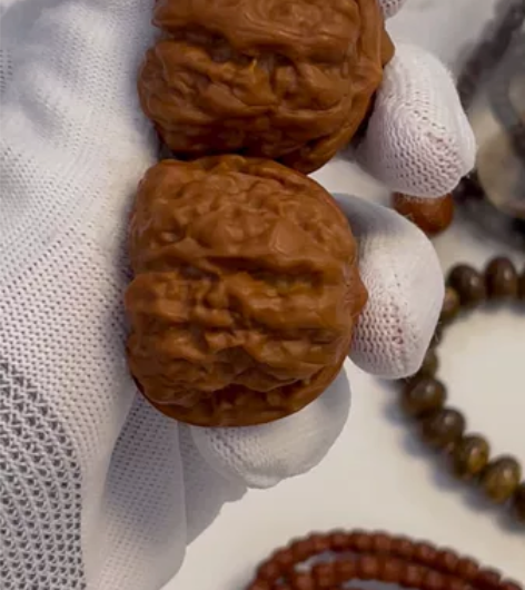 2066入的蛤蟆头，回血便宜出了，大肚子尺...