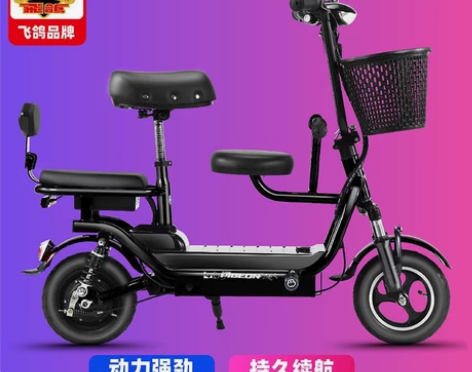 飞鸽电动车小型女士折叠，因上班路途远需要坐...
