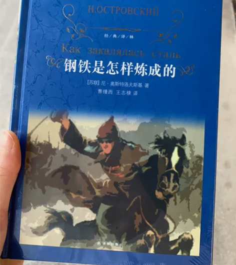 《钢铁是怎样炼成的》全新未拆。 感兴趣的话...