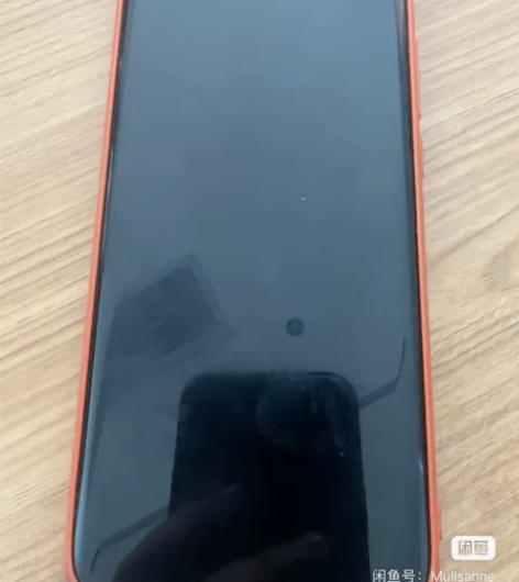 小米10至尊纪念版 12G+256G（透明...