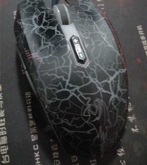 一只达尔优鼠标。我觉得上家可能是不会用才扔...