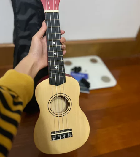 尤克里里21寸，玩过几次，基本全新，因要搬...