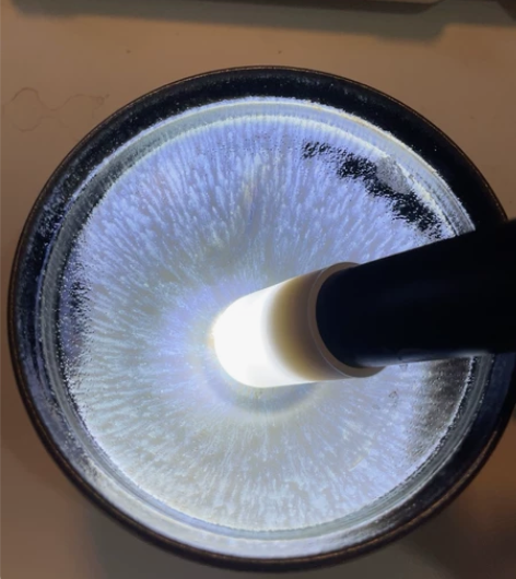 建盏第一品牌飞惺柴烧彩毫建盏名家纯手工原矿...