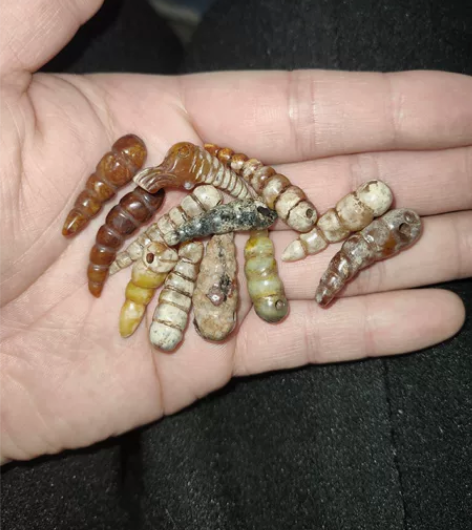 乡下收了一堆小玉虫子 挺招人稀罕标价为单颗价