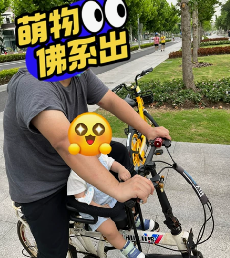 菲利普 PHILLIPS 折叠自行车； 2...