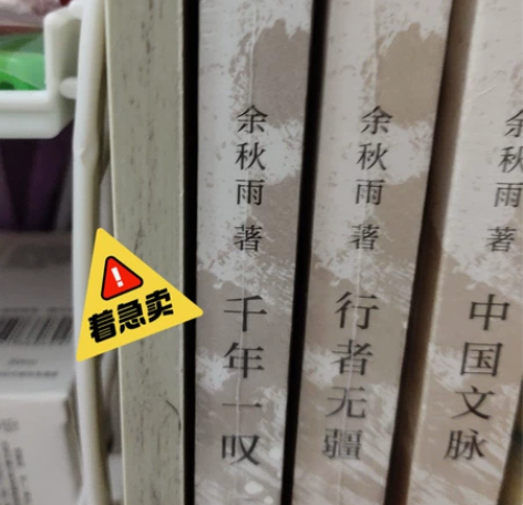 余秋雨的千年一叹 行者无疆 中国文脉 其中...