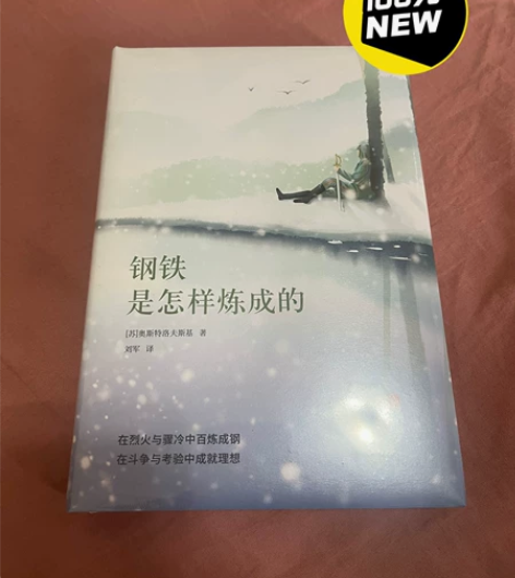 中外文学名著典藏系列:钢铁是怎样炼成的 全...