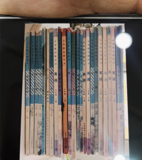 初中语文英语数学物理化学道德与法治政治化学...