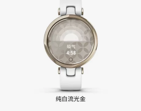 Garmin/佳明 智能手表 感兴趣的话点...