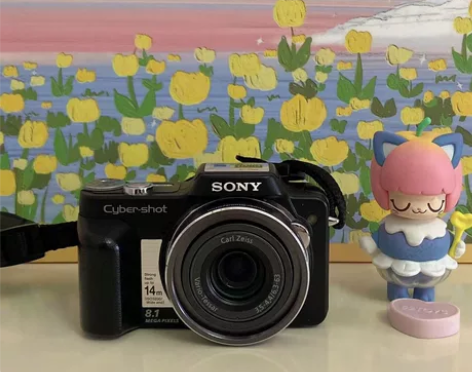 索尼H3（长焦机可拍月） 800万像素 1...