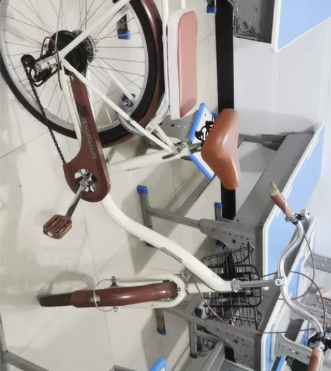 自行车女式22寸飞鸽铁锚淑女自行车，24速变速自行车，骑了4...