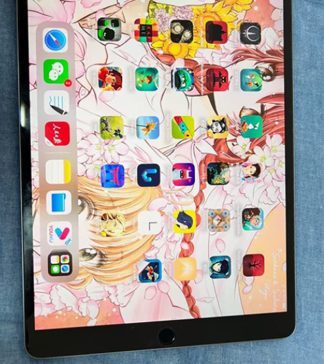 iPad pro10.5寸2017款wif...