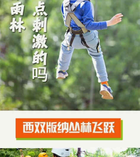 西双版纳原始森林公园丛林飞跃B段套票,森林...