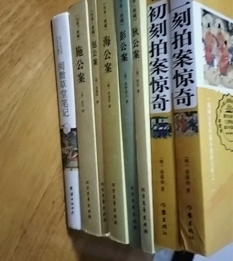 热爱侦探小说的爱好者不要错过  白话文小说...