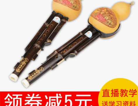 云南葫芦丝初学者c调降b调AGF小学生儿童...