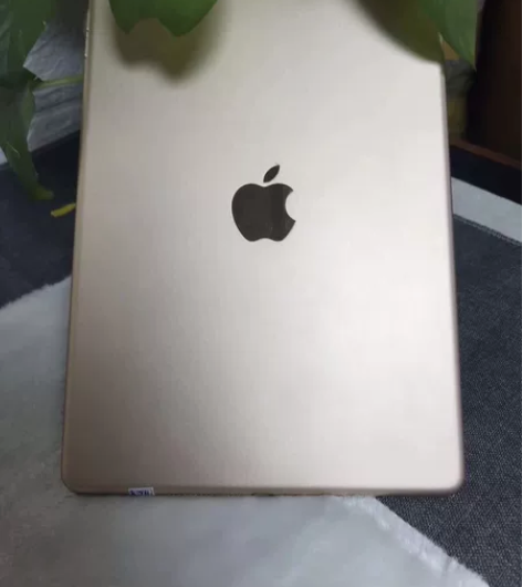 个人自用2018款iPad国行128gWL...