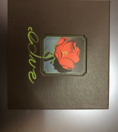 椅子乐团全新专辑Real love is....