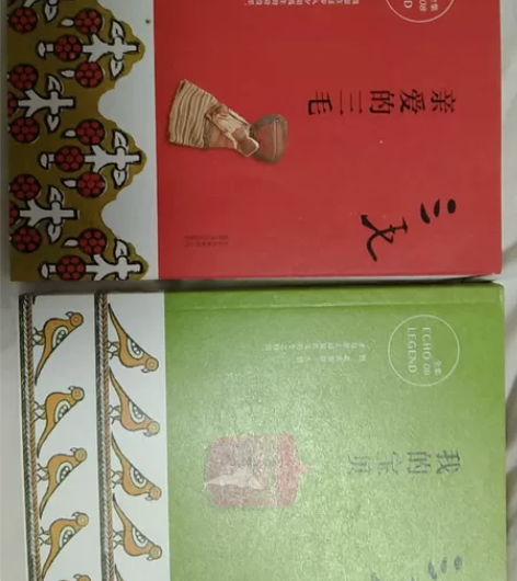 《亲爱的三毛》《我的 宝贝》都是全新的没翻...