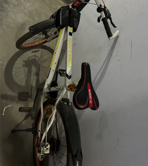 菲利普自行车，放置储藏室好久了，冬天到了不...