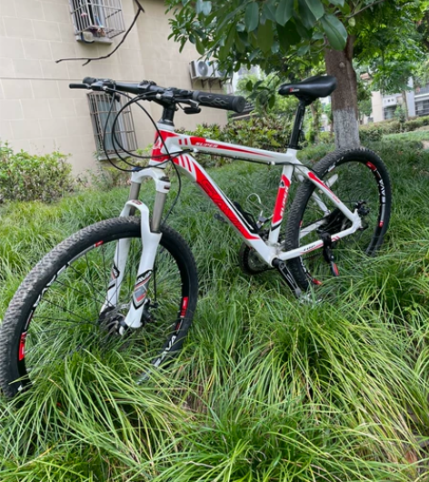 转闲置SAVA萨瓦M-1山地车24速一台，...