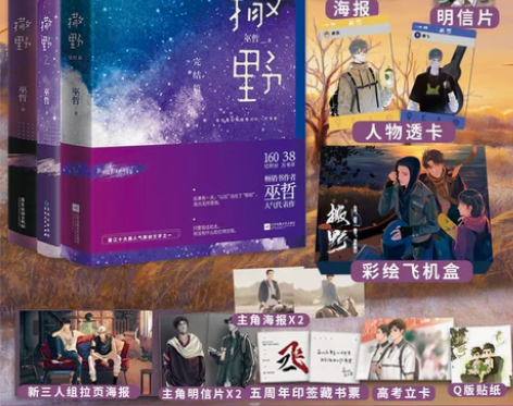青春文学 山东19人收藏 包邮青春文学撒野...