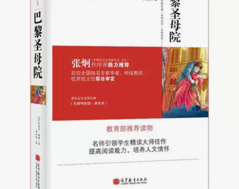 巴黎圣母院 爱阅读 语文新课标必读丛书 感...