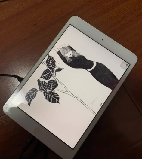 Apple/苹果 iPad mini ip...