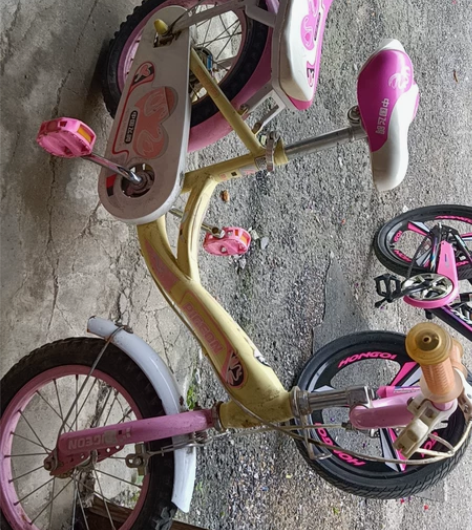 中国飞鸽自行车30出，买家出邮费就行，给钱...