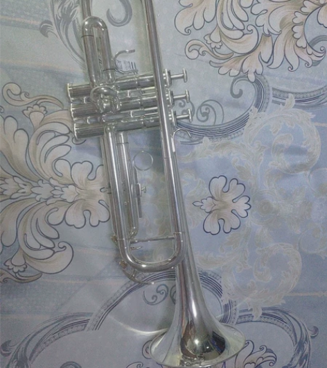 银色演出级小号全新没用过 外加黑特曼拉管油...