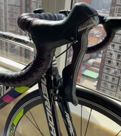 美利达瑞克多REACTO1200 LTD公...