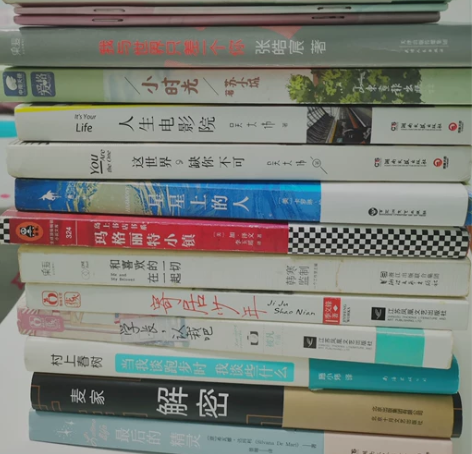 图书课外书经典小说言情青春文学外国文学  ...