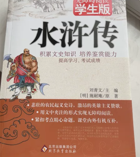 四大名著书籍 无障碍阅读 学生版 水浒传 ...