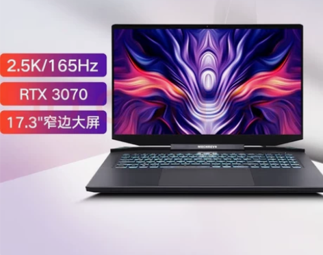 在保机械革命泰钽plus游戏笔记本 118...