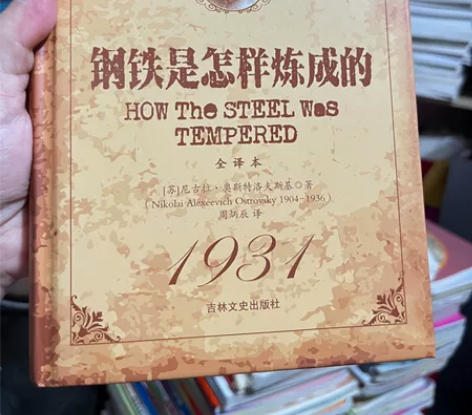 全新的书【钢铁是怎样炼成的】 初中必读书目...