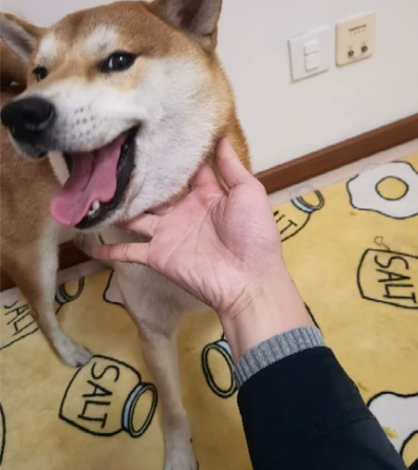 高中数学，可面授，其他科目可以分享心得，教...