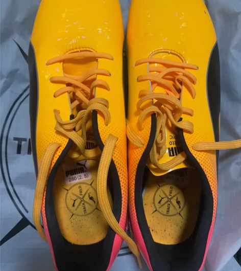 彪马（PUMA） Puma evoSPEE...