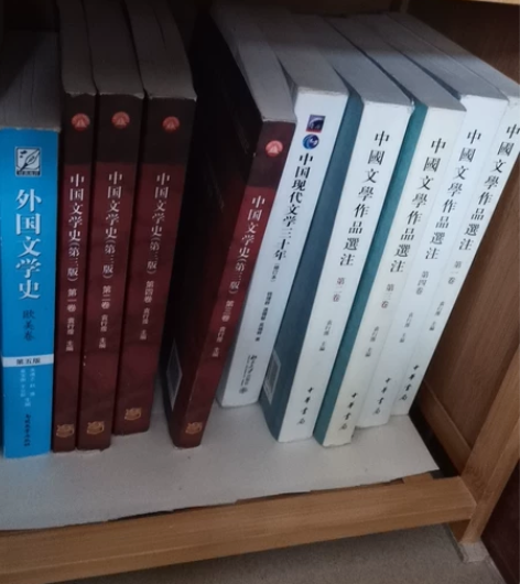 中国文学作品选注、外国文学史 中国文学史、...
