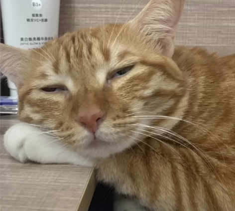 【收】一台状态好些的全原装的11pro，愿...