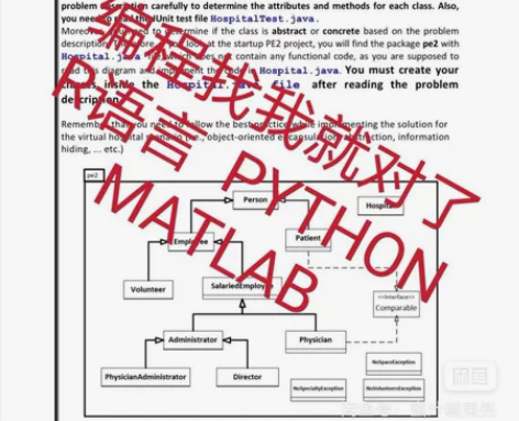 留学生 英文计算机R语言 Java C语言...
