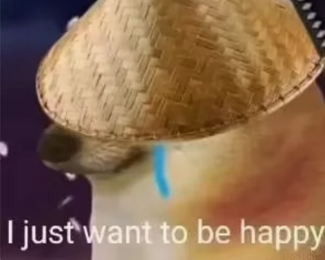 c++/python/c 大学答疑 其他语...