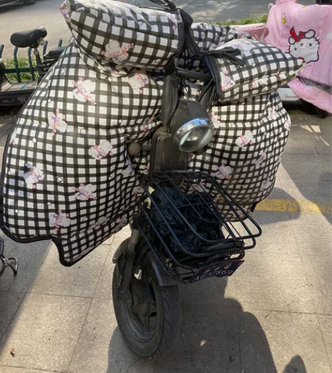 要离开西安了，出自骑的电动车 台铃的，充满...