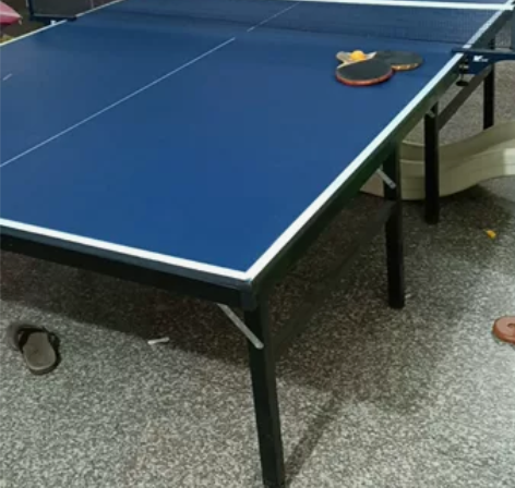 国标乒乓球台，无聊来两铺动动手脚，货在雅白...