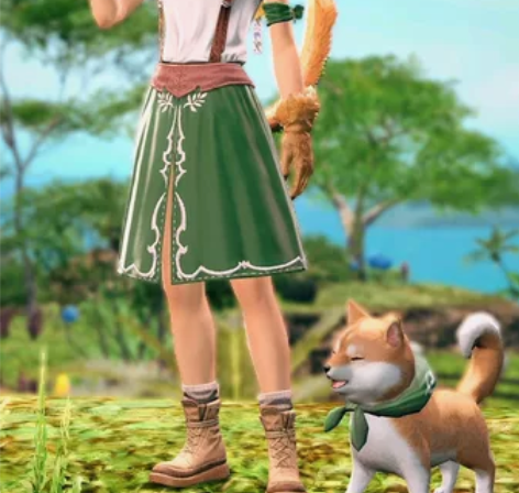 ff14表情、宠物、坐骑！  最终幻想14...