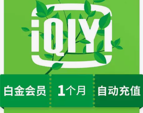 爱奇艺白金会员一个月30天VIP丨立即到账...